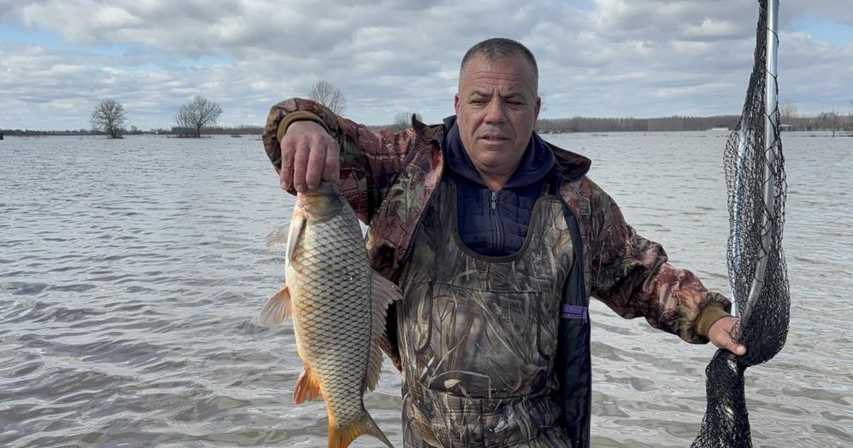 Edirne'de Meriç Nehri taşkınından ilginç görüntüler