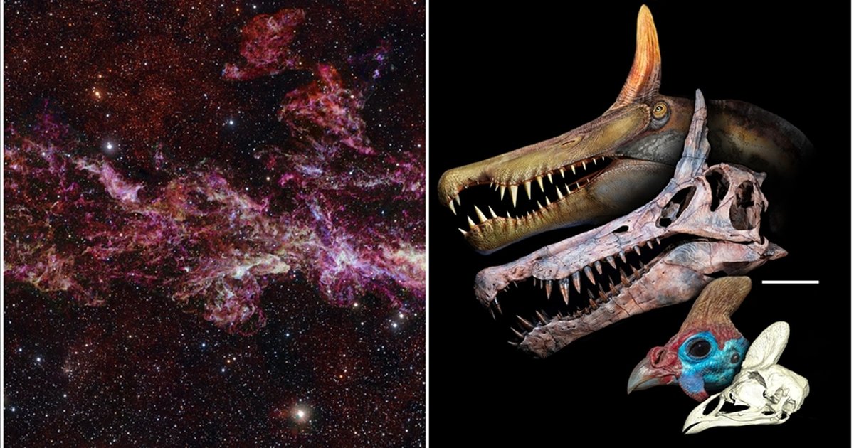 Şubattaki bilimsel gelişmeler: Yeni dinozor türü ve Samanyolu