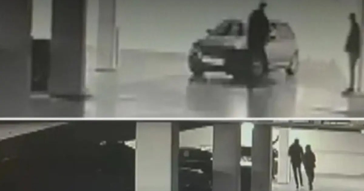 İstanbul'da 30 milyon dolarlık otopark hırsızlığı