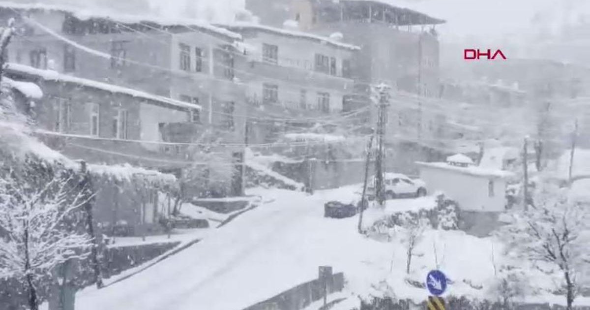 Van ve Hakkari'de kar yağışı: 121 yerleşim yeri ulaşıma kapandı