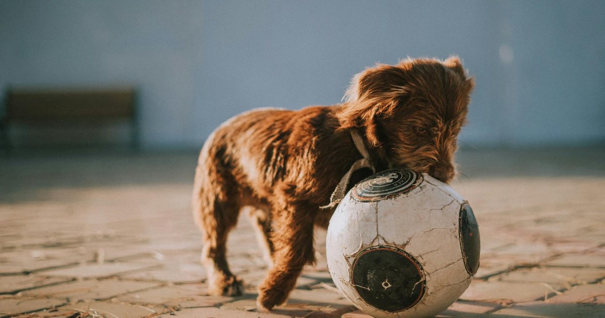 Kuşadası Belediyesi'ne yolsuzluk soruşturması