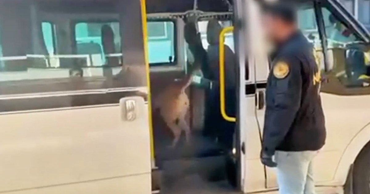 Uyuşturucu Operasyonlarında 1 Tonun Üzerinde Madde Ele Geçirildi