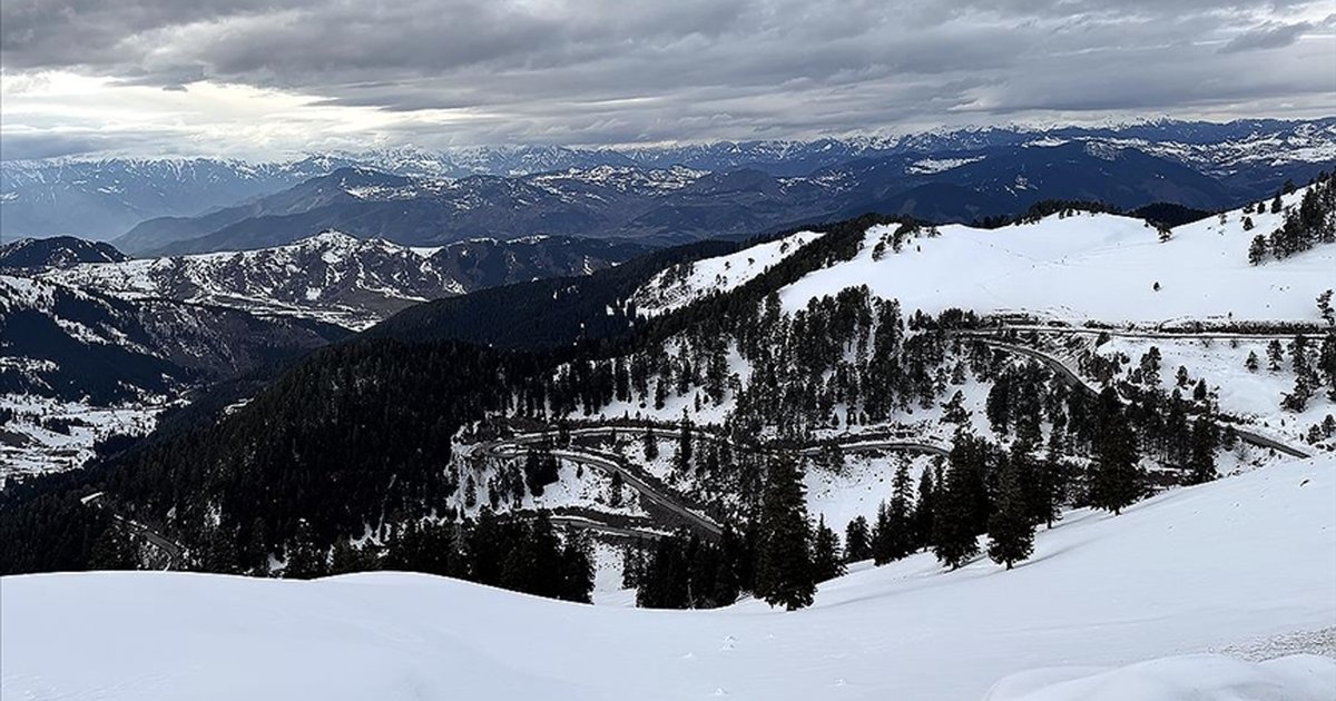 Ardahan, Kars ve Ağrı'da kar yağışı etkili oluyor