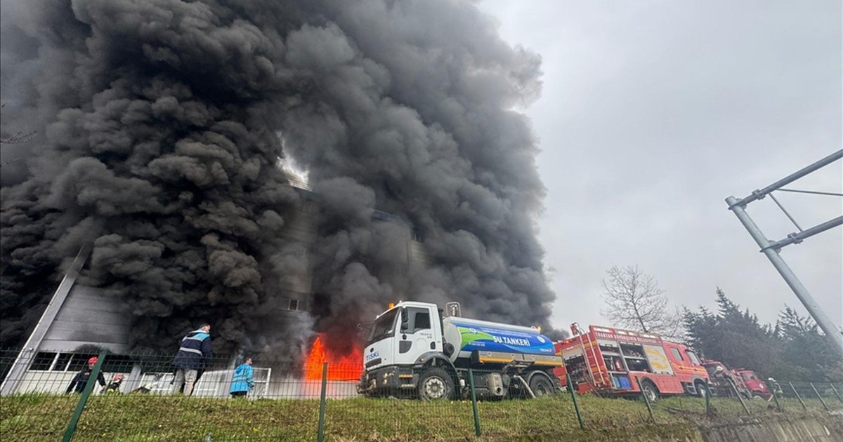 Trabzon'da fındık fabrikası deposunda yangın