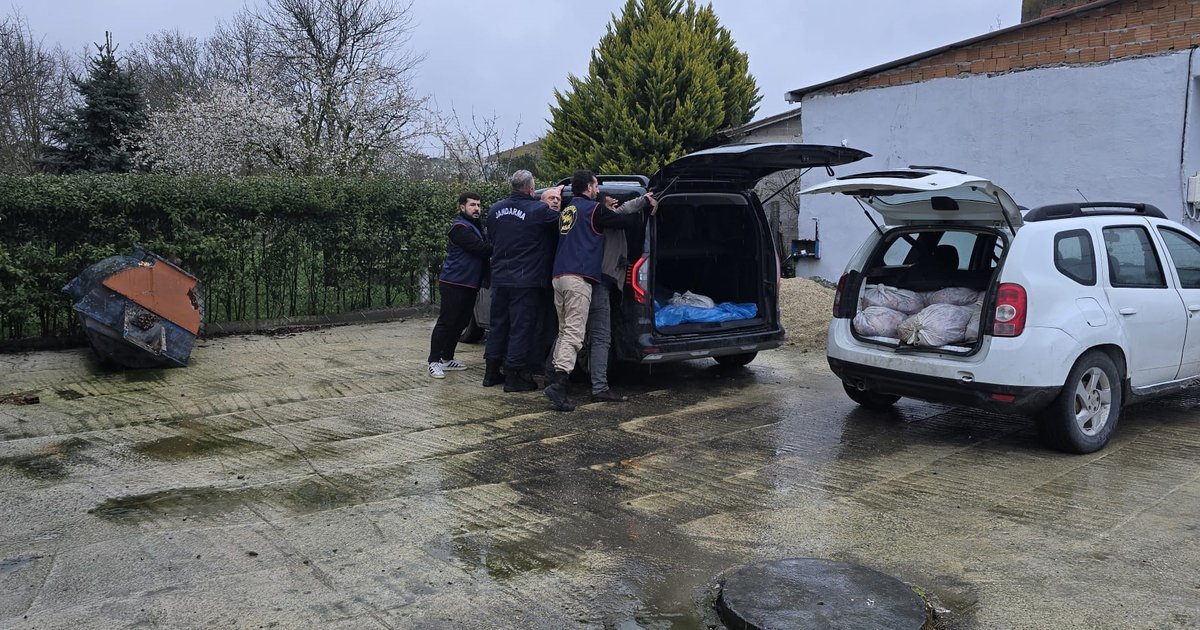 İstanbul Silivri'de at eti operasyonu