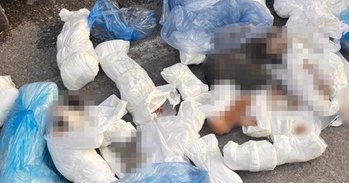 İzmir'de 33 ölü kedi vahşeti: Veteriner hekim yeniden gözaltına alındı