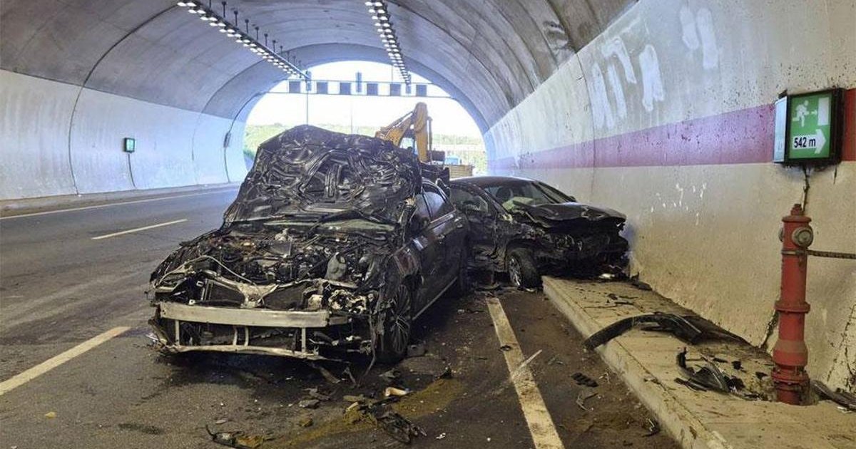İstanbul'da tünelde feci kaza: 10 inek telef oldu