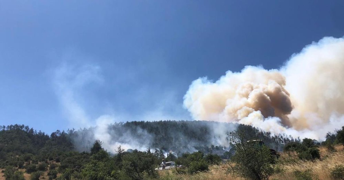 Balıkesir'de orman yangını: Havadan ve karadan müdahale