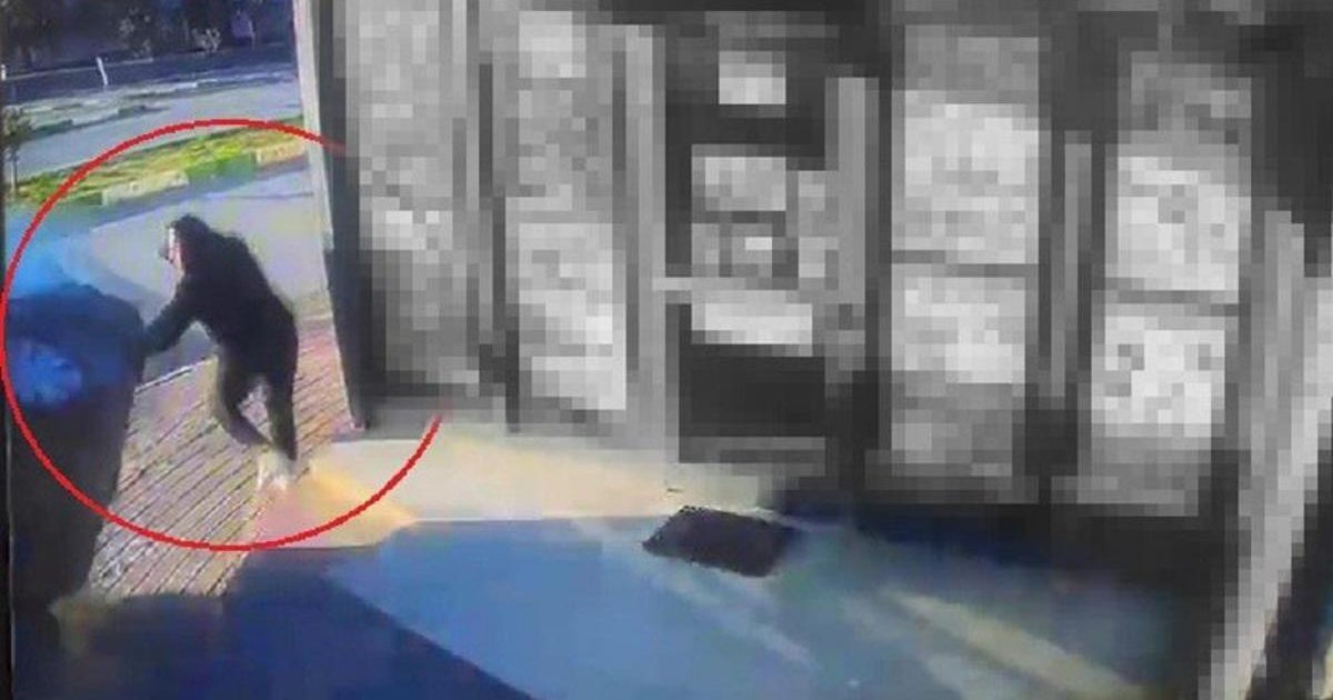 Antalya'da kontrolden çıkıp zincir markete dalan araç