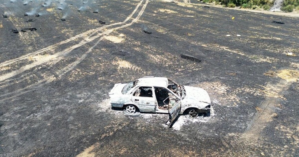 Adana'da araç yangını ormanlık alana sıçradı