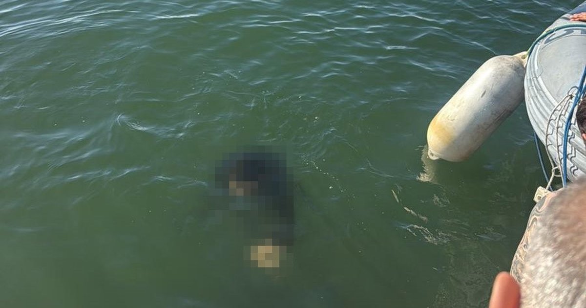 İzmir'de engelli vatandaş denize düştü, kurtarılamadı