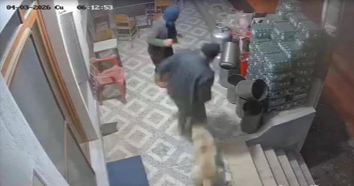 Manisa'da köpek saldırısı: Parmağı koptu