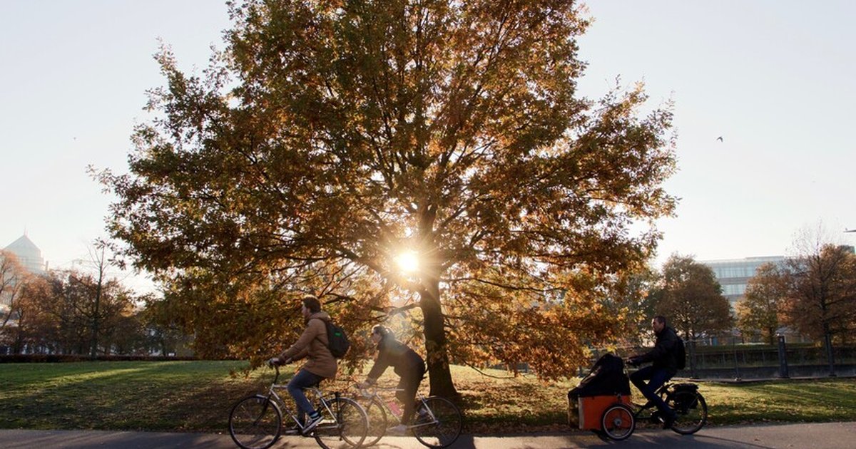 DSÖ'den Dünya Sağlık Günü'nde bilim odaklı sağlık vurgusu