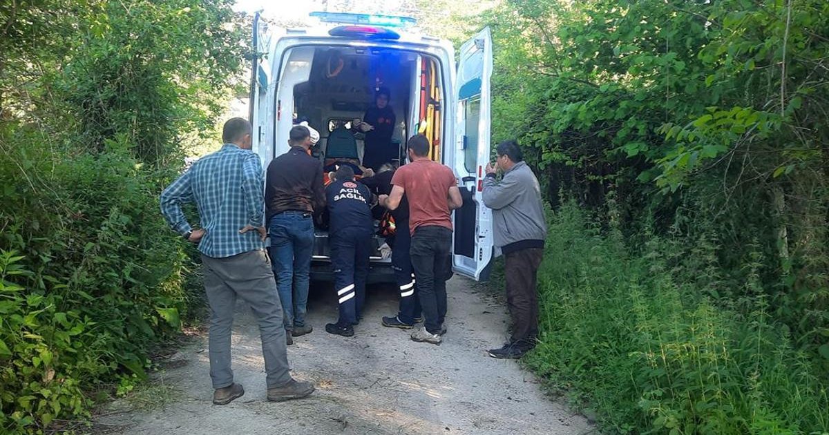 Bal arısı sokması sonucu kadın hastaneye kaldırıldı