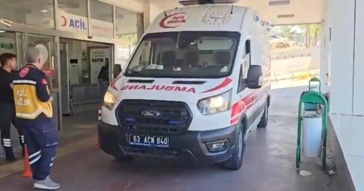 Bahçesinde yılanı vururken 5 kişiyi yaraladı