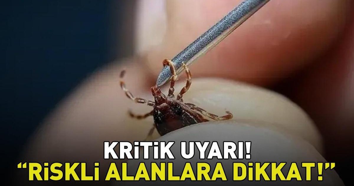 Uzman İsimden Kene Uyarısı: KKKA Vakalarında Artış!