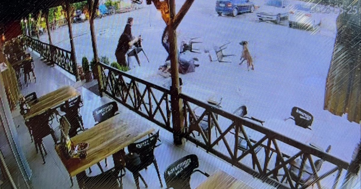 Dinlenme Tesisinde Köpek Saldırısı: Kadının Kolu Koptu