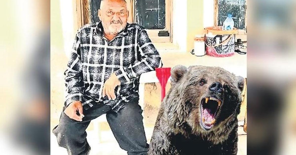 İzmir Seferihisar'da ayı saldırısı: 1 ölü