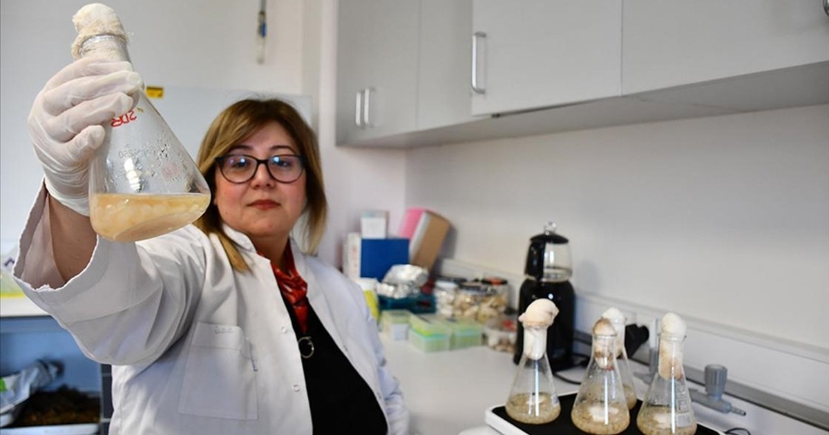 Akademisyenlerden gıda güvenliğini artıracak yeni bileşik