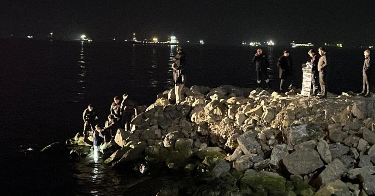 İstanbul'da Anne ve Kızı Ölü Bulundu, Bakanlık Açıklama Yaptı