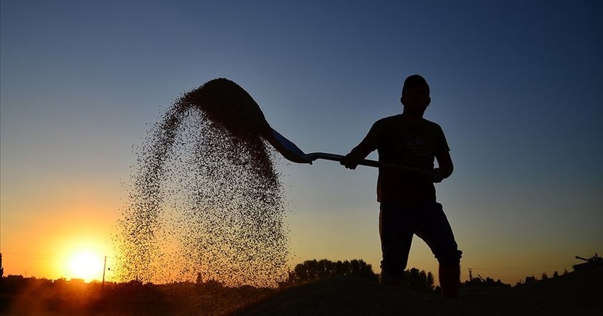 Çiftçilere 10,7 milyar liralık destekleme ödemesi bugün yapılacak