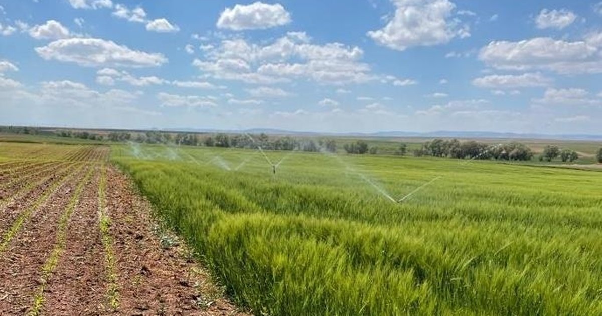 Bakan Yumaklı: Sulama sistemlerine destek artırıldı