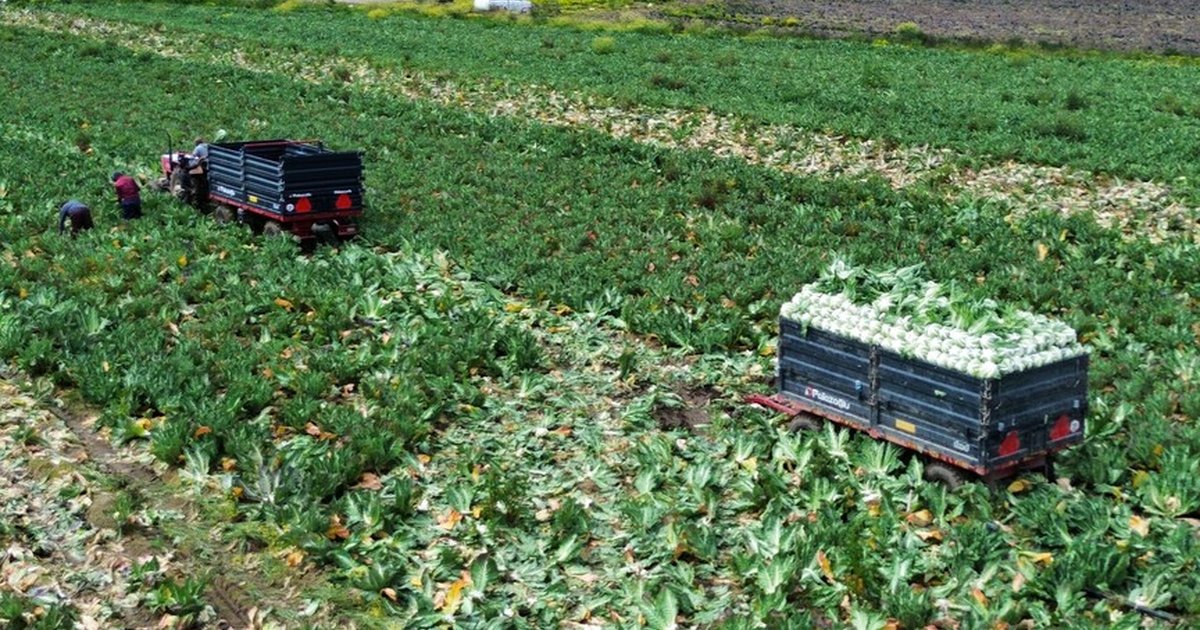 Tarım ve Orman Bakanı'ndan 3,75 Milyar Lira Destekleme Ödemesi