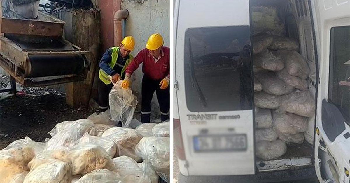 Tekirdağ'da 1,2 ton sakatat imha edildi