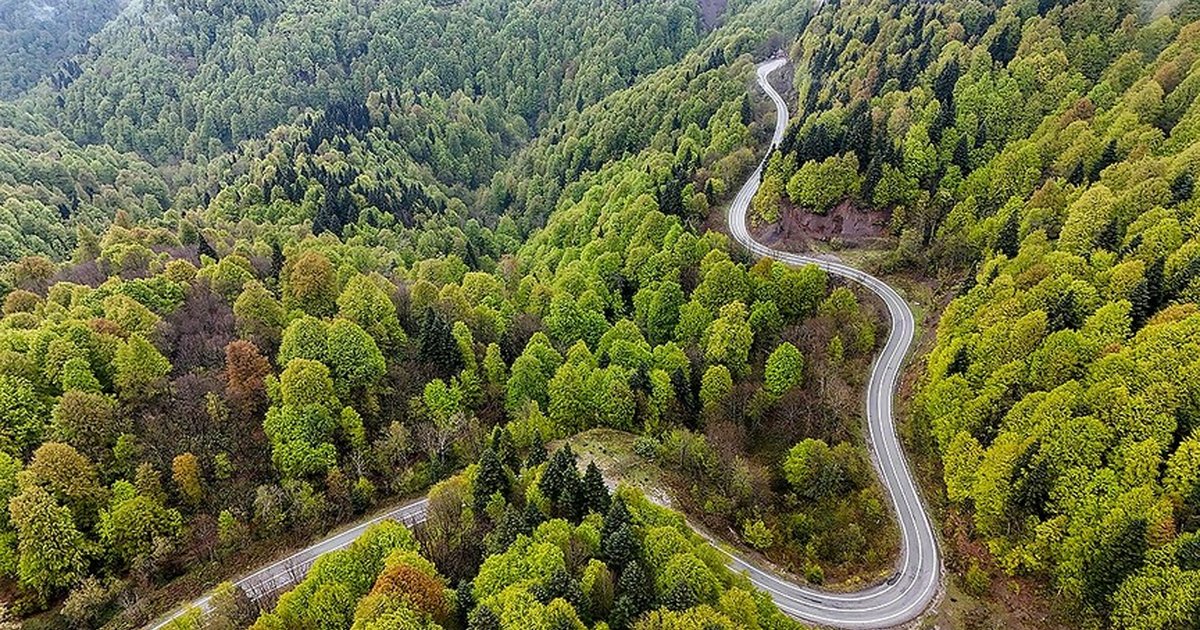 Tarım ve Orman Bakanı Yumaklı'dan orman yangınları uyarısı