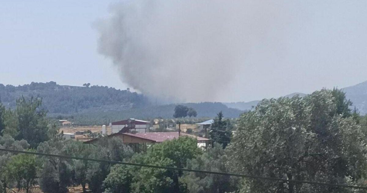 Muğla Seydikemer'de yangın: Alevler ormana sıçradı