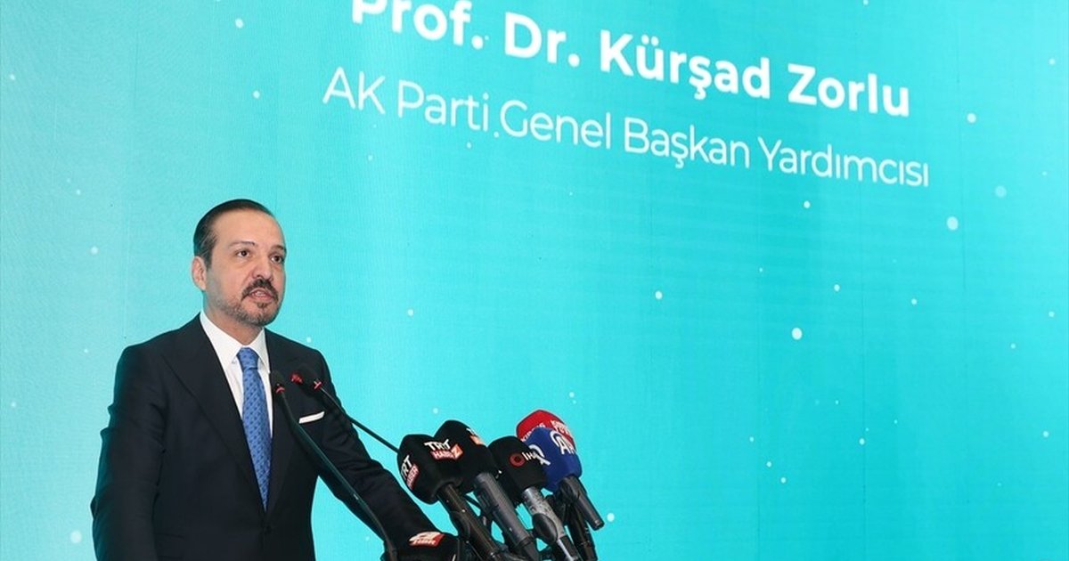 Zorlu: Türkiye ve Kıbrıs Türklüğü olmadan çözüm yok