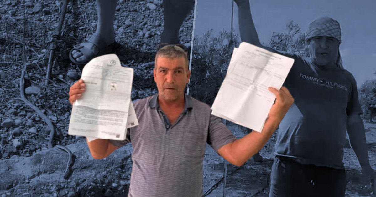 Antalya'da yılanı öldürdüğünü iddia eden adama ceza