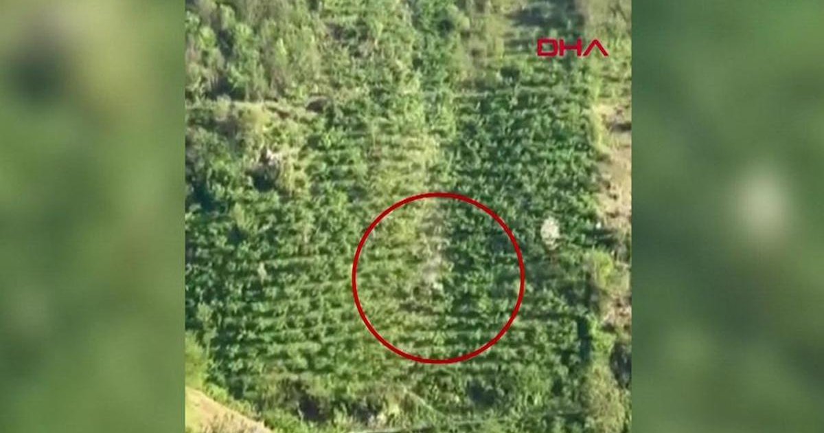Giresun'da kamyonet yamaçtan yuvarlandı