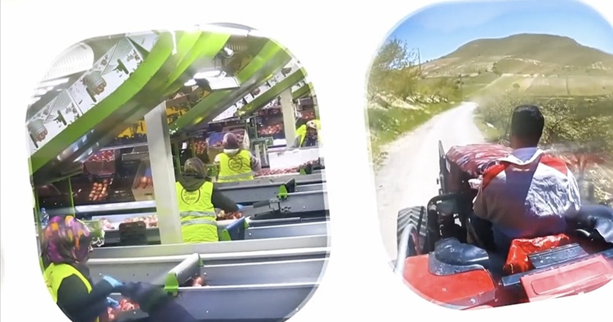 IPARD III Programı 2026 çağrı takvimi açıklandı