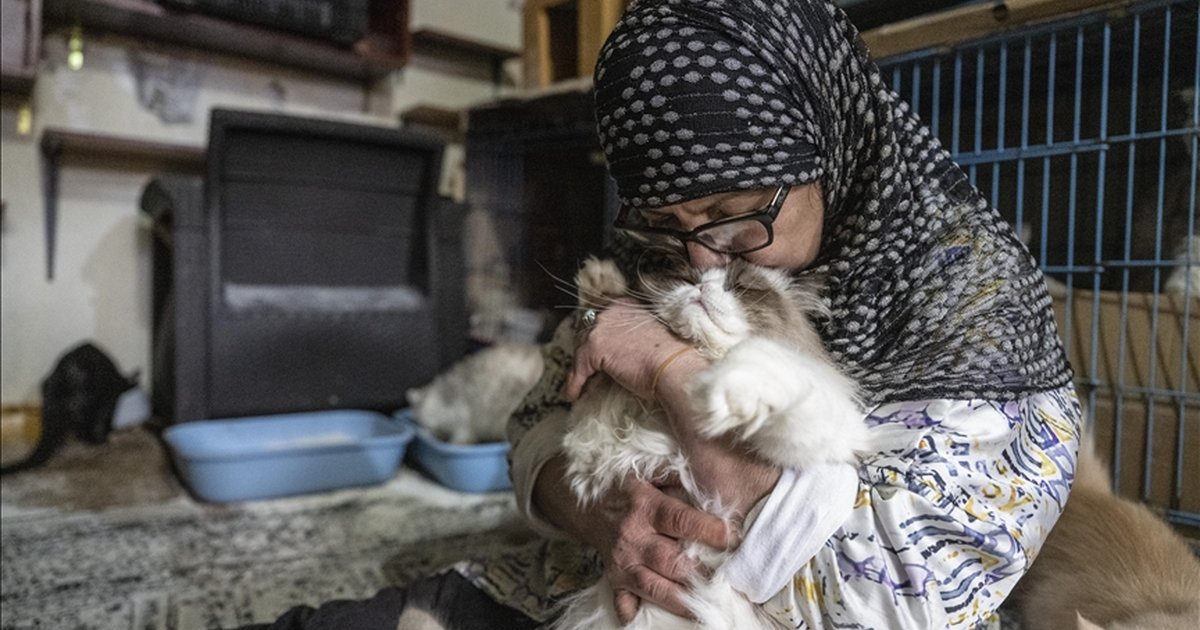 Lübnanlı hayvansever İsrail saldırıları nedeniyle evini terk etti