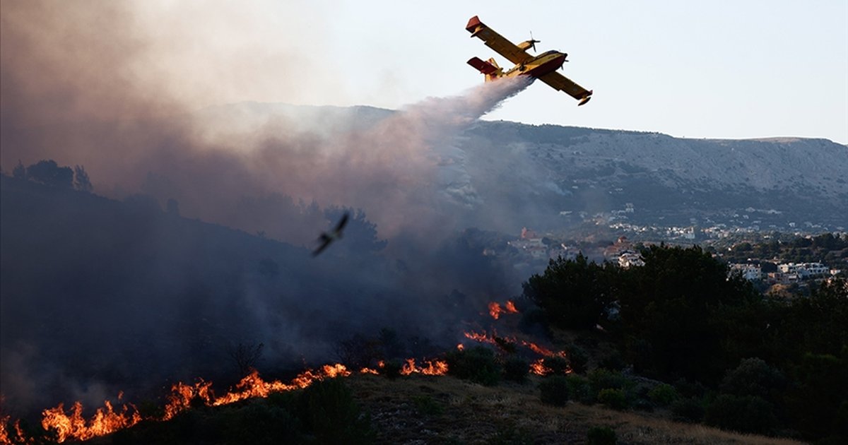 AB'nin Yeni Orman Yangını Stratejisi