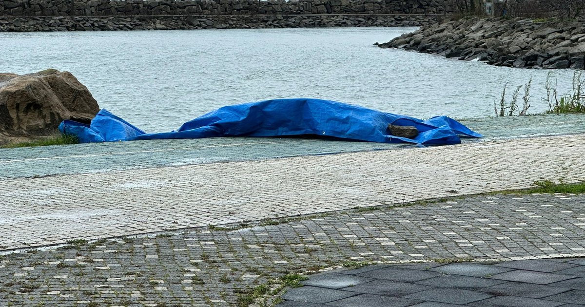 Ordu'da sahile İHA vurdu iddiası, cisim inceleniyor