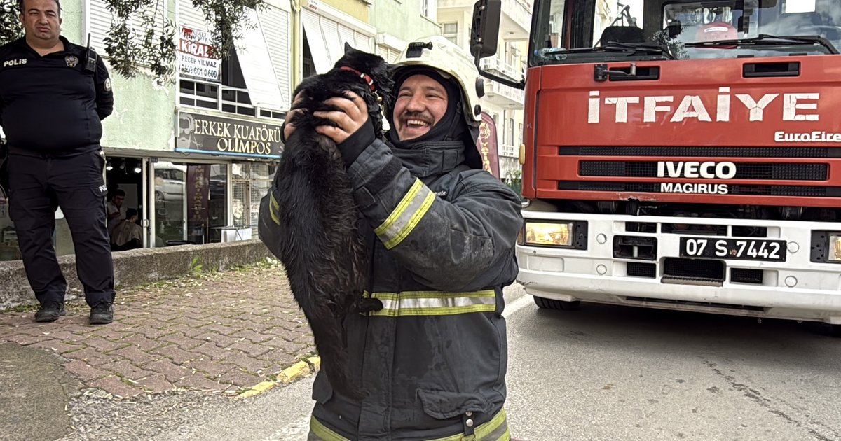 İtfaiye eri kediyi kalp masajıyla yaşama bağladı