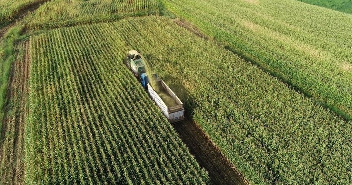 Tarım arazileri korunacak