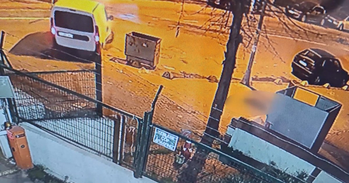 Kargo Çalışanları Köpeği Ezip Kaçtı