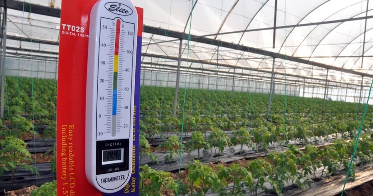 Zirai don uyarısı sonrası üreticiler tedbirlere odaklandı