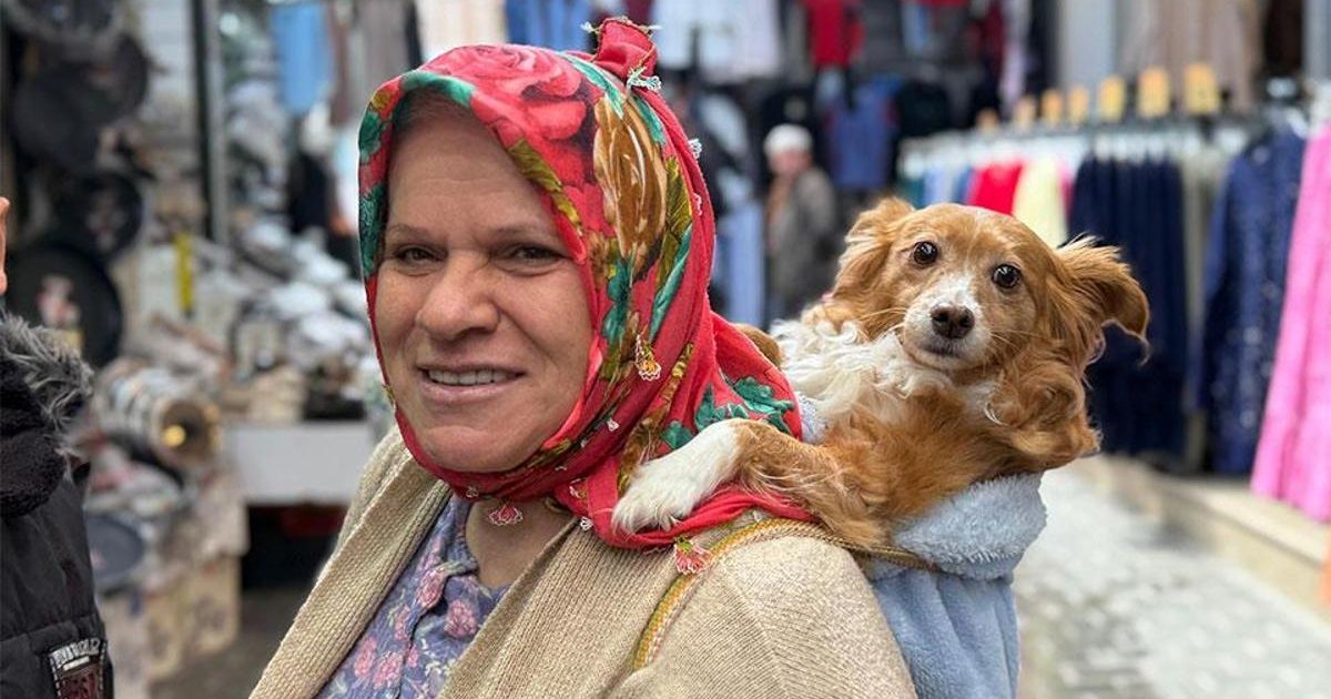 İnsanlardan Korkan Köpek Sahibini Sırtında Gezdiriyor