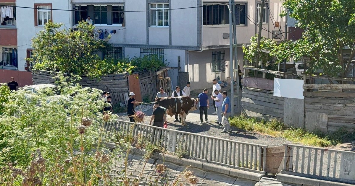 Kaçak kurban kesenlere ceza yağdı
