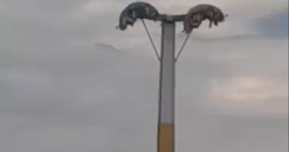 Lunaparkta Arıza: Vatandaşlar Metrelerce Yüksekte Mahsur Kaldı